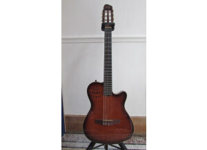 Godin ACS-SA USB (67878)