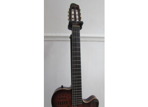 Godin ACS-SA USB (86366)