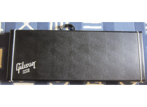 Gibson Explorer Case