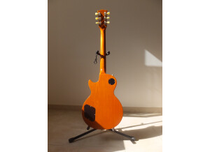 Gibson Gary Moore Les Paul Standard 2013 (69437)