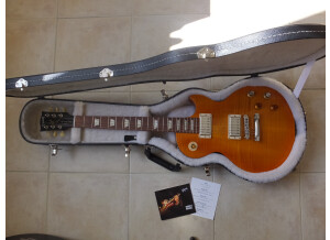 Gibson Gary Moore Les Paul Standard 2013 (79282)