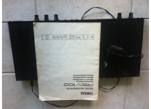 Roland RV 100 (13571)