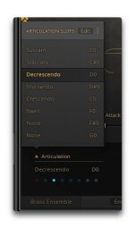Native Instruments Symphony Series - Brass Native Instruments Symphony Series - Brass