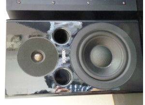 Fostex PM-1 MkII (44787)