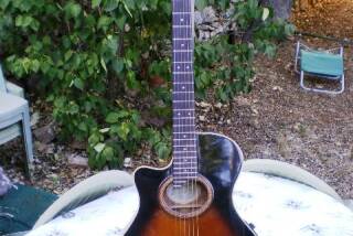 Yamaha APX6LA