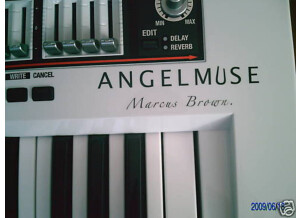 Roland SH-201 (16620)