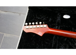 Fano Guitars PX6 (93666)