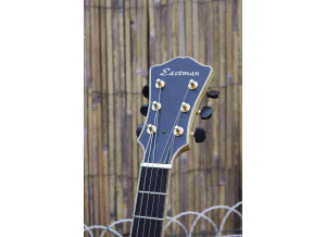Eastman - Handcrafted Guitars AR 905 CE