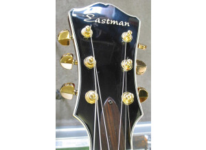 Eastman - Handcrafted Guitars T145SMD Thinline
