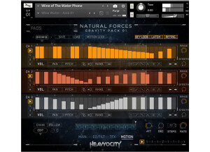 NaturalForces Interface Motion