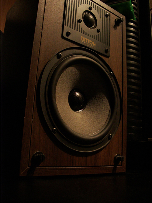 Celestion Ditton 100