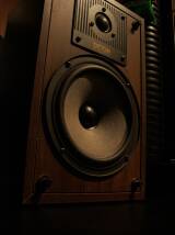 Celestion Ditton 100