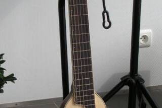 Washburn RO20