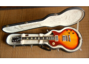 Gibson Les Paul Standard 2008 (24953)