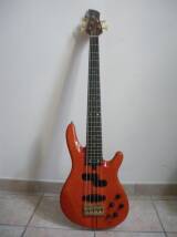 Yamaha TRB5P