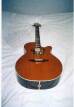 Takamine PSF45C