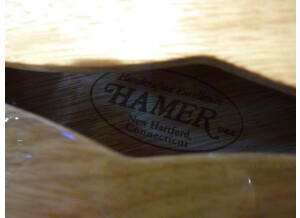 Hamer Artist Korina HB (53935)