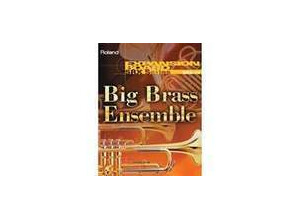 Roland SRX-10 Big Brass (73086)