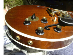 Gibson ES-345 (24602)
