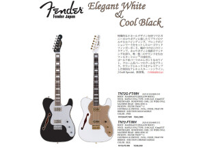 Fender TN72G-FT/MH