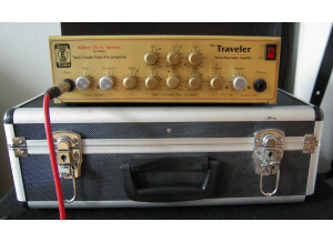 Eden Electronics WT-300 (The Traveler)