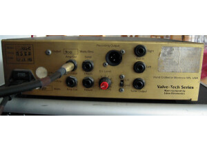 Eden Electronics WT-300 (The Traveler)