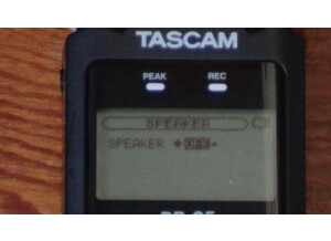 Tascam DR-05 (84734)