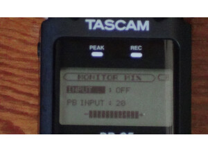 Tascam DR-05 (29810)