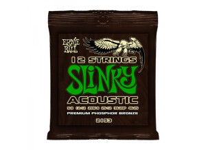 12 String Slinky Phosphor Bronze Acoustic (2153)