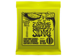 7 String Regular Slinky Nickel Wound (2621)