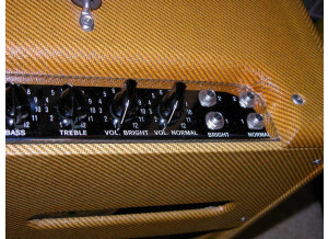 Fender custom shop Bass Breaker