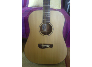 Tacoma Guitars DM9 (73140)
