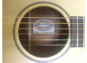 Tacoma Guitars DM9 (89289)