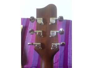 Tacoma Guitars DM9 (25815)