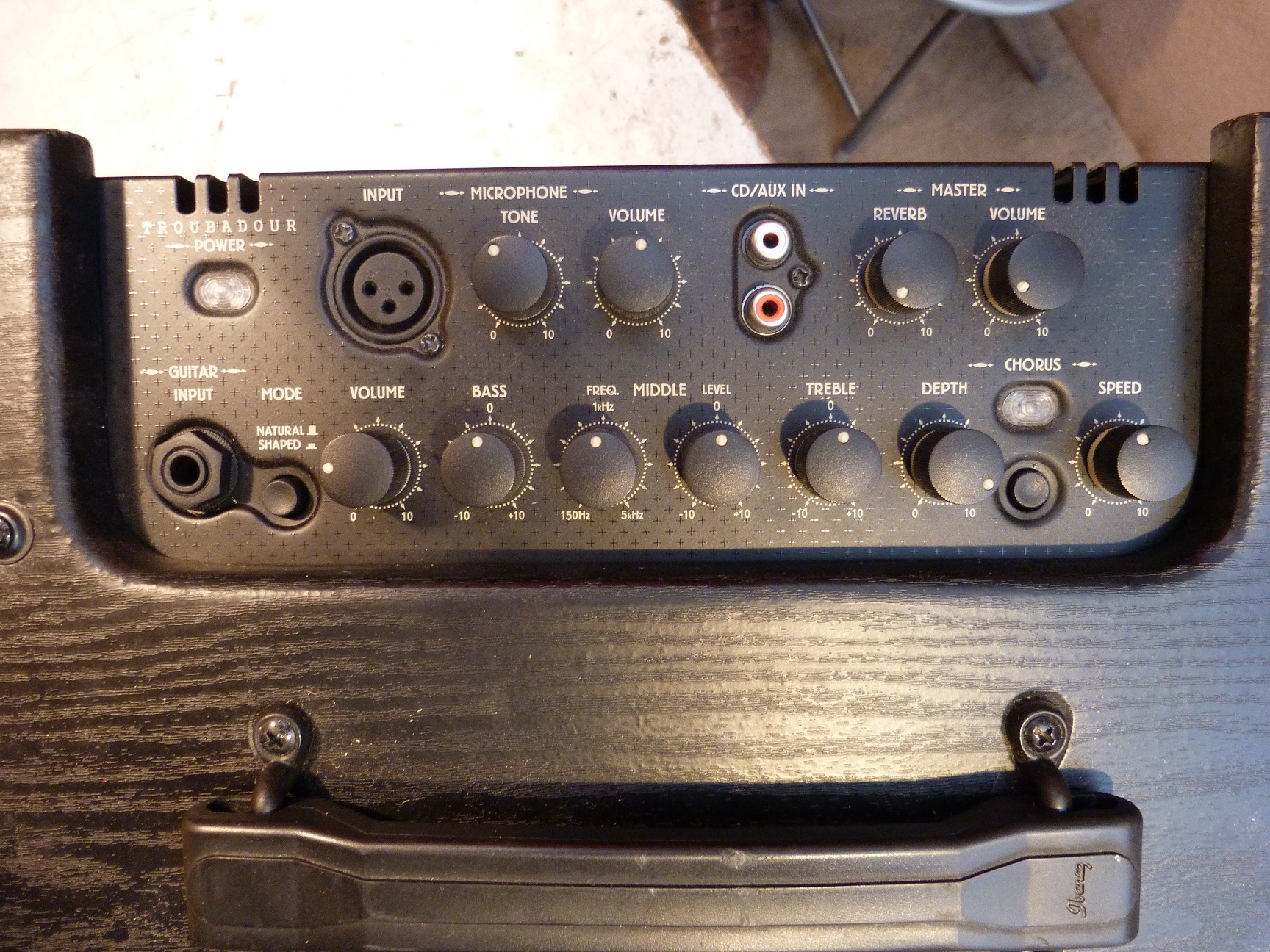 Ibanez Troubadour T35