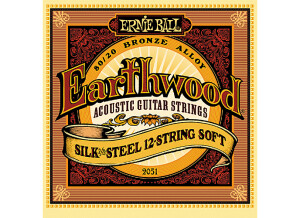 Ernie Ball EarthWood 80/20 Bronze Silk & Steel