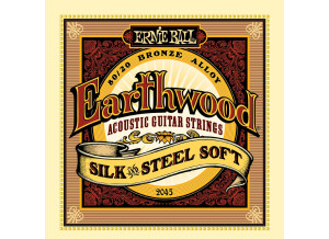 Ernie Ball EarthWood 80/20 Bronze Silk & Steel