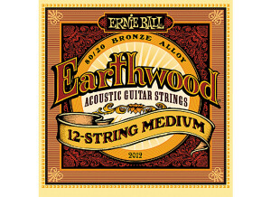 EarthWood 80/20 Bronze Acoustic 12 String Medium (2012)