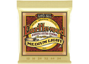 EarthWood 80/20 Bronze Acoustic Medium Light (2003)