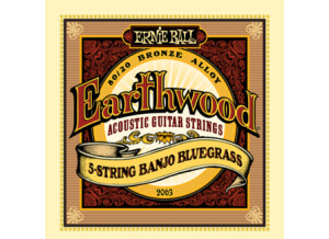 EarthWood 80/20 5 String Banjo Bluegrass (2063)