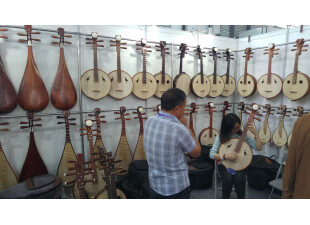 Chinese Traditional instruments 07