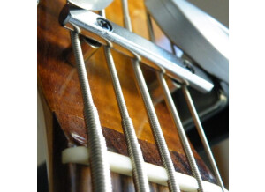 Noguera YC 5 cordes 24 cases