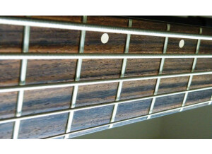 Noguera YC 5 cordes 24 cases