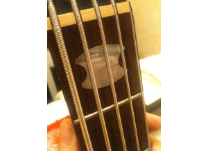 Spector Euro 5 LX (40562)