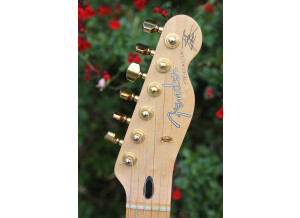 Fender Richie Kotzen Telecaster [2013-Current] (38624)