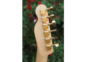 Fender Richie Kotzen Telecaster [2013-Current] (13221)