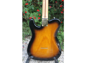 Fender Richie Kotzen Telecaster [2013-Current] (9529)