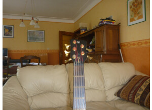 Warwick Streamer LX 5