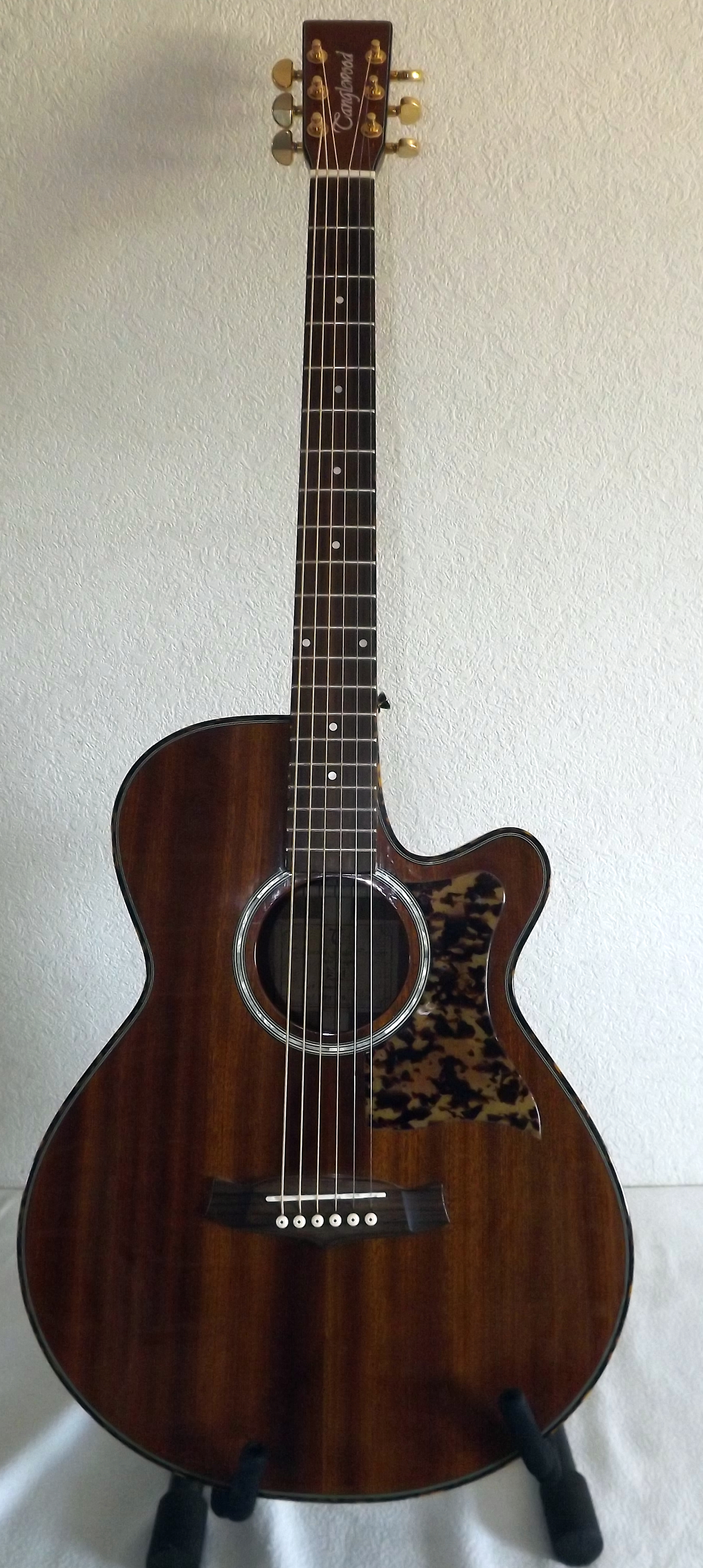 Tanglewood TW47 E