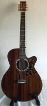 Tanglewood TW47 E